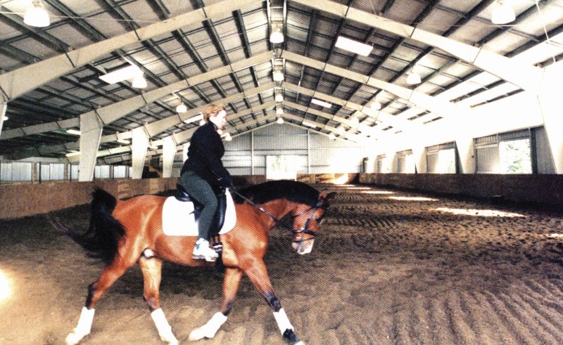 Indoor Horseback riding